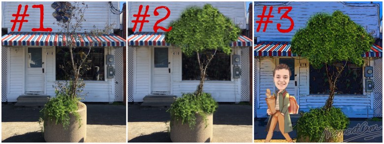 Graphics progression